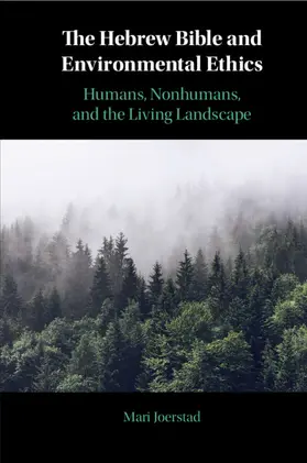 Joerstad |  The Hebrew Bible and Environmental Ethics | Buch |  Sack Fachmedien