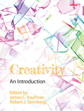 Kaufman / Sternberg | Creativity | Buch | 978-1-108-70237-9 | sack.de