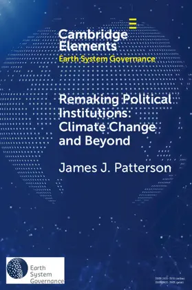 Patterson |  Remaking Political Institutions | Buch |  Sack Fachmedien