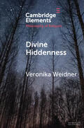 Weidner |  Divine Hiddenness | Buch |  Sack Fachmedien
