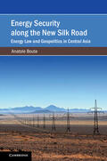 Boute |  Energy Security along the New Silk Road | Buch |  Sack Fachmedien