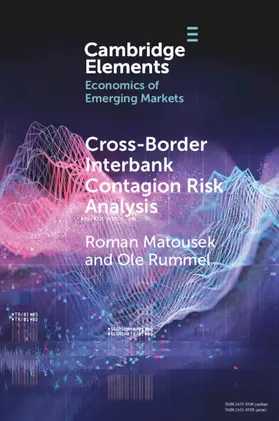 Matousek / Rummel |  Cross-Border Interbank Contagion Risk Analysis | Buch |  Sack Fachmedien