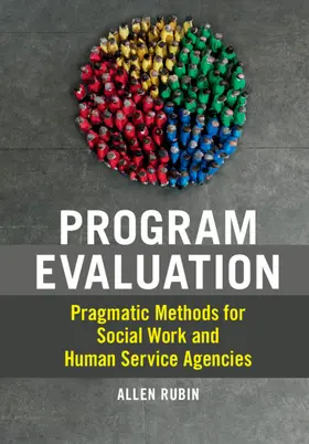 Rubin |  Program Evaluation | Buch |  Sack Fachmedien