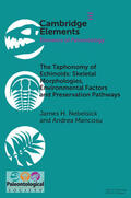 Nebelsick / Mancosu |  The Taphonomy of Echinoids | Buch |  Sack Fachmedien