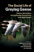 Scheiber / Weiß / Hemetsberger |  The Social Life of Greylag Geese | Buch |  Sack Fachmedien