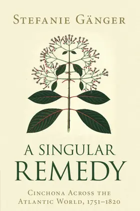 Gänger |  A Singular Remedy | Buch |  Sack Fachmedien