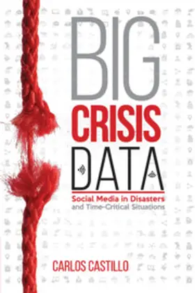 Castillo |  Big Crisis Data | Buch |  Sack Fachmedien