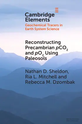 Sheldon / Mitchell / Dzombak | Reconstructing Precambrian pCO2 and pO2 Using Paleosols | Buch | 978-1-108-81900-8 | www.sack.de
