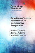 Gidron / Adams / Horne |  American Affective Polarization in Comparative Perspective | Buch |  Sack Fachmedien