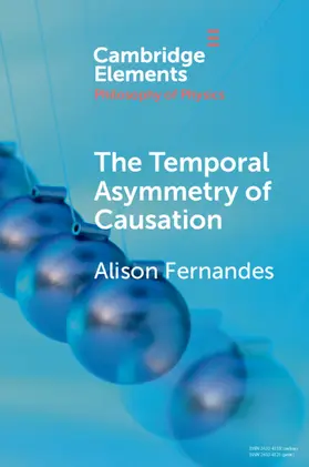 Fernandes |  The Temporal Asymmetry of Causation | Buch |  Sack Fachmedien