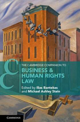 Bantekas / Stein | The Cambridge Companion to Business & Human Rights Law | Buch | sack.de