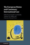 Bordin / Müller / Pascual-Vives |  The European Union and Customary International Law | Buch |  Sack Fachmedien