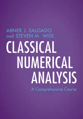 Salgado / Wise |  Classical Numerical Analysis | Buch |  Sack Fachmedien