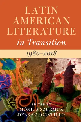 Szurmuk / Castillo |  Latin American Literature in Transition 1980-2018 | Buch |  Sack Fachmedien