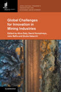 Daly / Humphreys / Raffo |  Global Challenges for Innovation in Mining Industries | Buch |  Sack Fachmedien