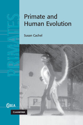 Cachel | Primate and Human Evolution | Buch | 978-1-108-94943-9 | sack.de