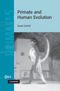 Cachel |  Primate and Human Evolution | Buch |  Sack Fachmedien