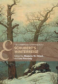 Hirsch / Feurzeig |  The Cambridge Companion to Schubert's 'Winterreise' | Buch |  Sack Fachmedien