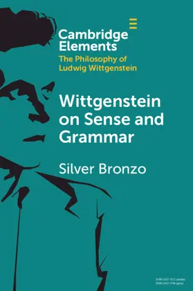 Bronzo |  Wittgenstein on Sense and Grammar | Buch |  Sack Fachmedien