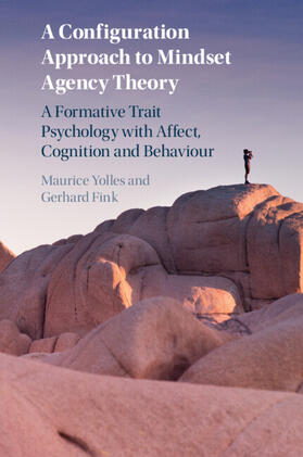 Yolles / Fink |  A Configuration Approach to Mindset Agency Theory | Buch |  Sack Fachmedien