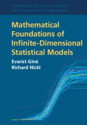 Giné / Nickl |  Mathematical Foundations of Infinite-Dimensional Statistical Models | Buch |  Sack Fachmedien