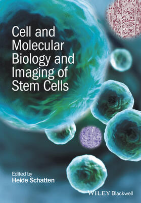 Schatten |  Cell and Molecular Biology and Imaging of Stem Cells | Buch |  Sack Fachmedien