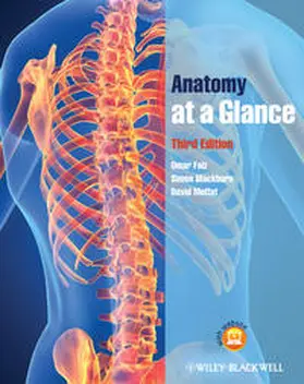 Faiz / Blackburn / Moffat |  Anatomy at a Glance | eBook | Sack Fachmedien