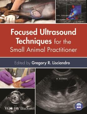Lisciandro | Focused Ultrasound Techniques for the Small Animal Practitioner | Buch | sack.de