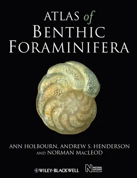 Holbourn / Henderson / Macleod |  Atlas of Benthic Foraminifera | Buch |  Sack Fachmedien