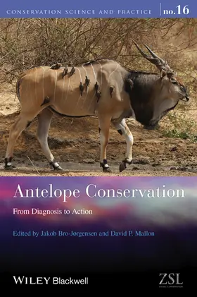 Bro-Jorgensen / Mallon |  Antelope Conservation | Buch |  Sack Fachmedien