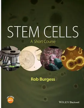 Burgess |  Stem Cells | eBook | Sack Fachmedien