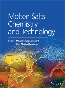 Gaune-Escard / Haarberg | Molten Salts Chemistry and Technology | Buch | 978-1-118-44873-1 | sack.de