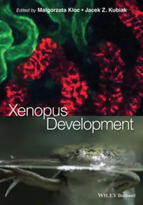 Kloc / Kubiak |  Xenopus Development | eBook | Sack Fachmedien