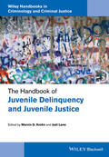 Krohn / Lane |  The Handbook of Juvenile Delinquency and Juvenile Justice | Buch |  Sack Fachmedien