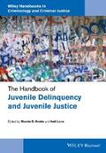 Krohn / Lane |  The Handbook of Juvenile Delinquency and Juvenile Justice | eBook | Sack Fachmedien