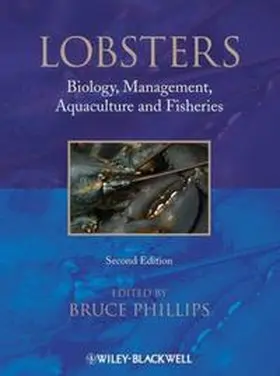 Phillips |  Lobsters | eBook | Sack Fachmedien