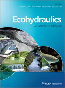 Maddock / Harby / Kemp |  Ecohydraulics | eBook | Sack Fachmedien