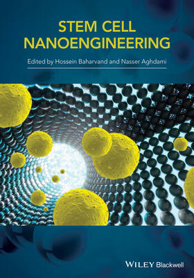 Baharvand |  Stem-Cell Nanoengineering | Buch |  Sack Fachmedien