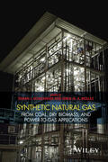 Schildhauer / Biollaz |  Synthetic Natural Gas | Buch |  Sack Fachmedien