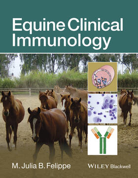Felippe | Equine Clinical Immunology | Buch | 978-1-118-55887-4 | sack.de
