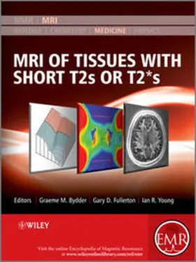 Bydder / Fullerton / Young |  MRI of Tissues with Short T2s or T2*s | eBook | Sack Fachmedien