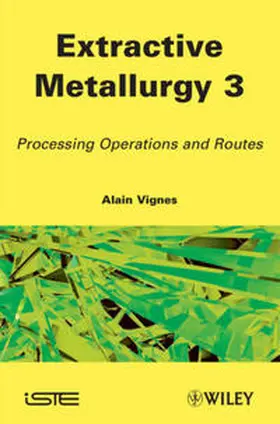 Vignes |  Extractive Metallurgy 3 | eBook | Sack Fachmedien