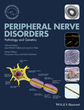 Vallat / Weiss | Peripheral Nerve Disorders | Buch | 978-1-118-61843-1 | sack.de