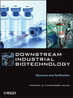 Flickinger |  Downstream Industrial Biotechnology | eBook | Sack Fachmedien
