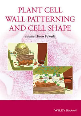 Fukuda |  Plant Cell Wall Patterning and Cell Shape | eBook | Sack Fachmedien