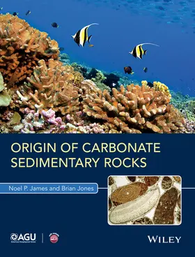 Jones / James | Origin of Carbonate Sedimentary Rocks | Buch | 978-1-118-65273-2 | sack.de