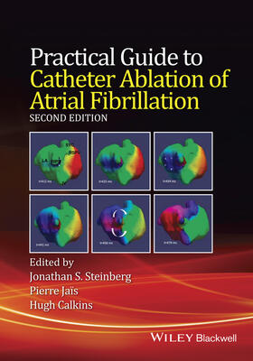 Steinberg / Jais / Calkins | Practical Guide to Catheter Ablation of Atrial Fibrillation | Buch | sack.de