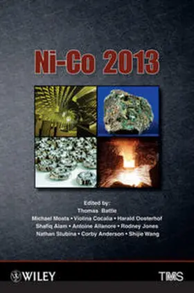 Battle / Moats / Wang |  Ni-Co 2013 | eBook | Sack Fachmedien