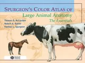 Mccracken / Kainer / Spurgeon |  Spurgeon's Color Atlas of Large Animal Anatomy | eBook | Sack Fachmedien