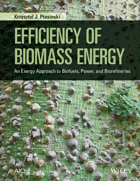 Ptasinski |  Efficiency of Biomass Energy | Buch |  Sack Fachmedien